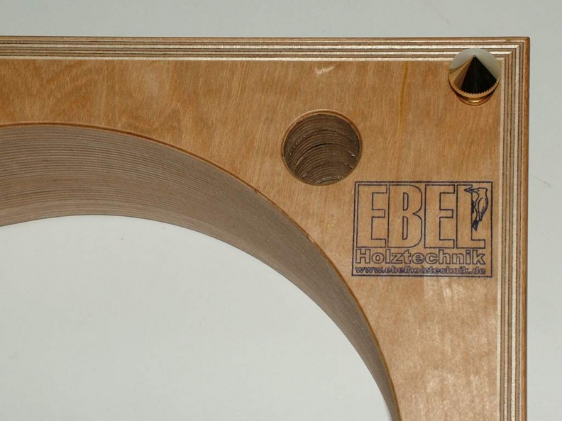 TD124 Rüster-Ulme-gestreift 16